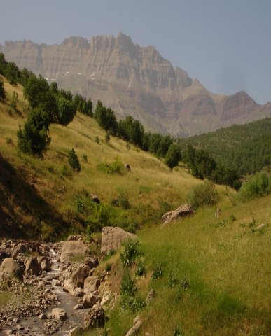 Herekol